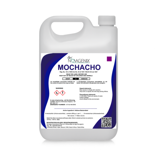 MOCHACHO