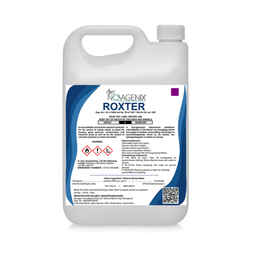 ROXTER