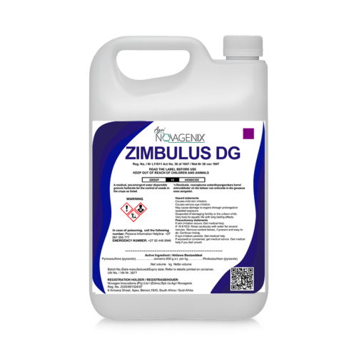 ZIMBULUS DG